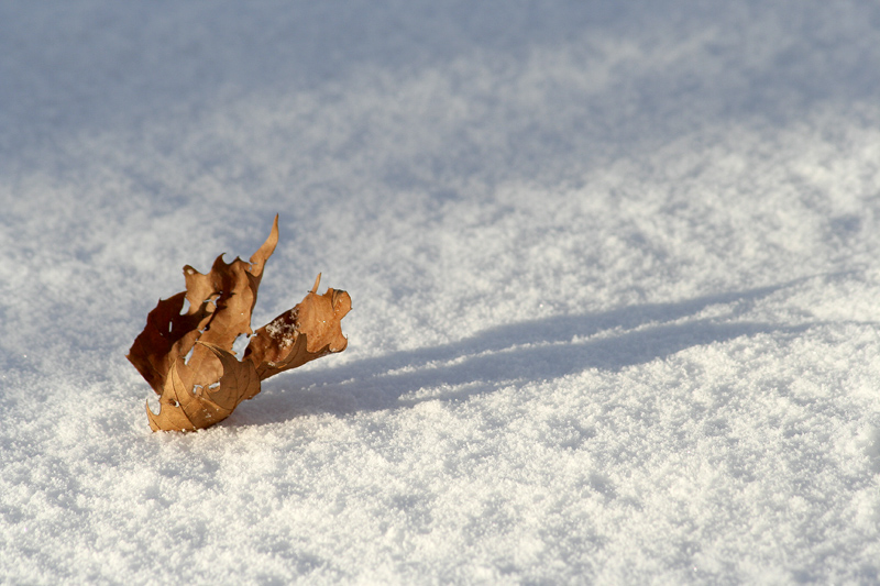 in inverno