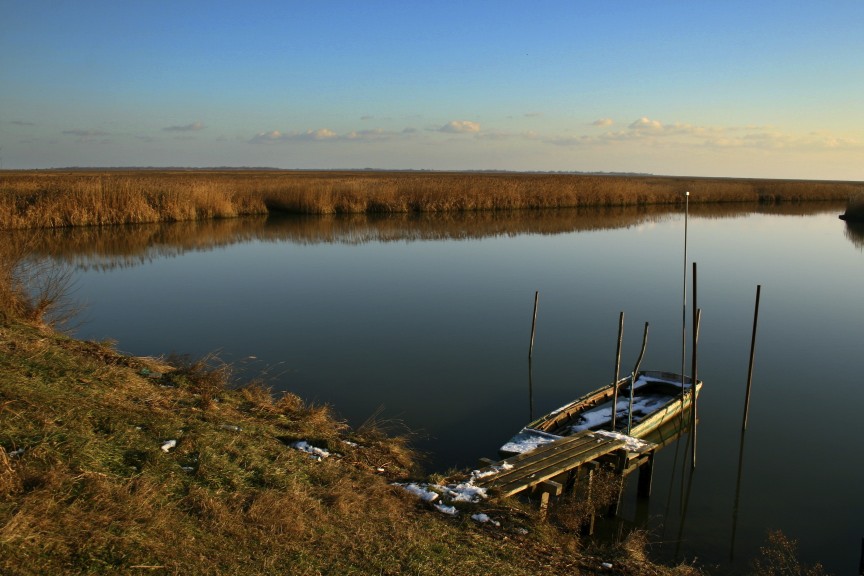 Laguna