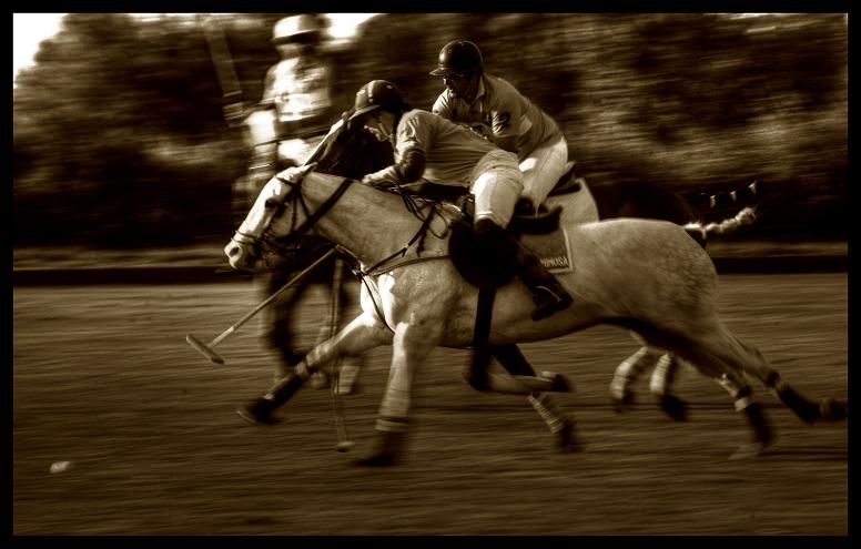 polo2