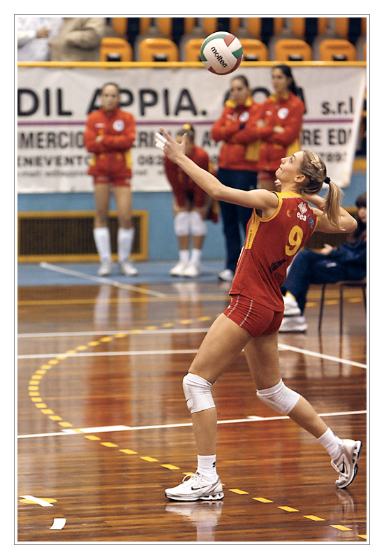 [Volley A2 F] Accademia Volley - Sea Urbino