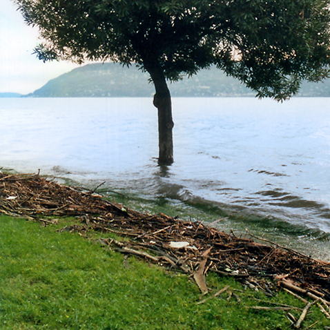 Esondazione del lago Maggiore