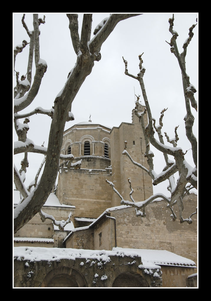 Cattedrale 3