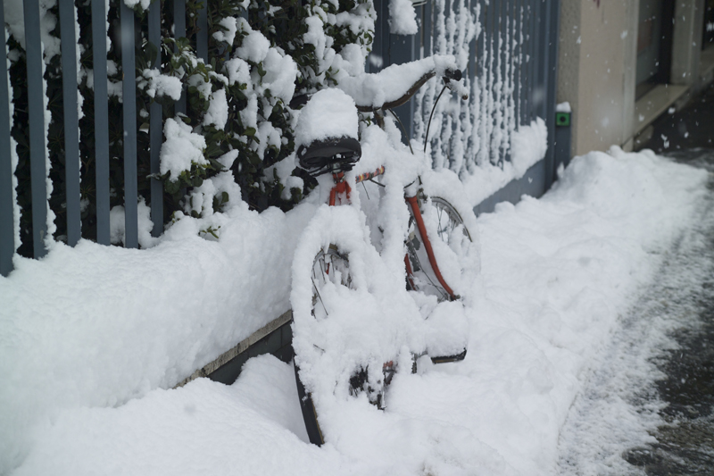 Gomme neve?