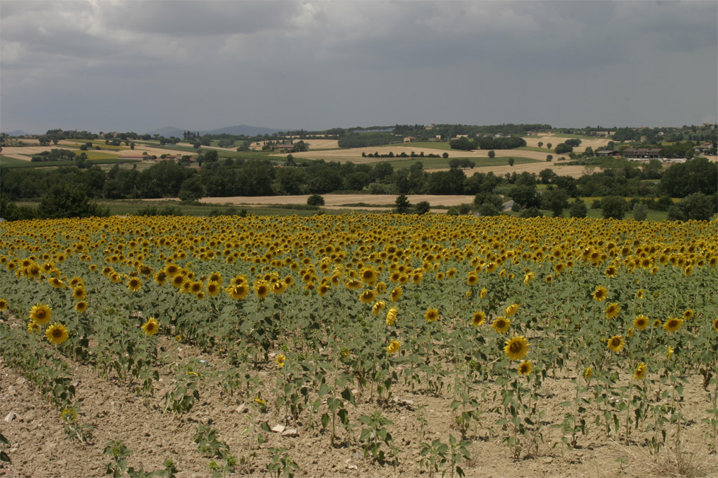 Campagna Umbra