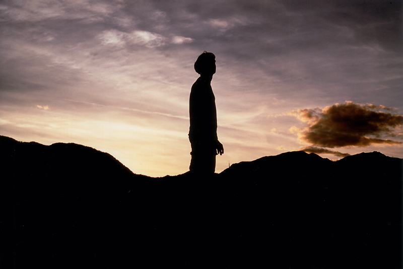 Silouette nel tramonto