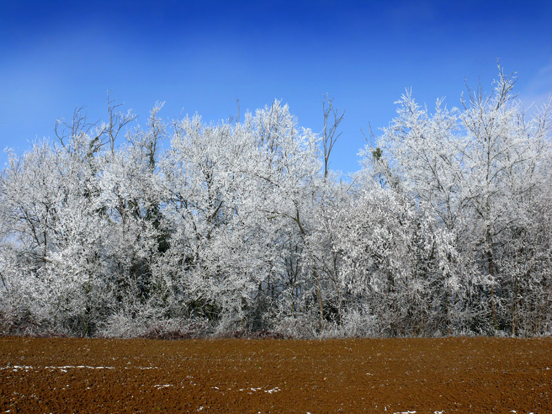 Colori invernali