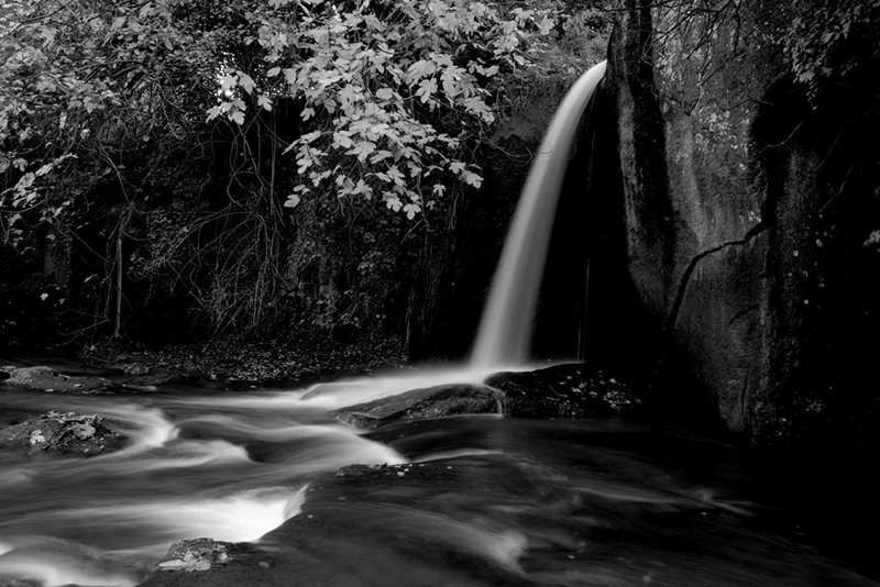 Cold nature BW version