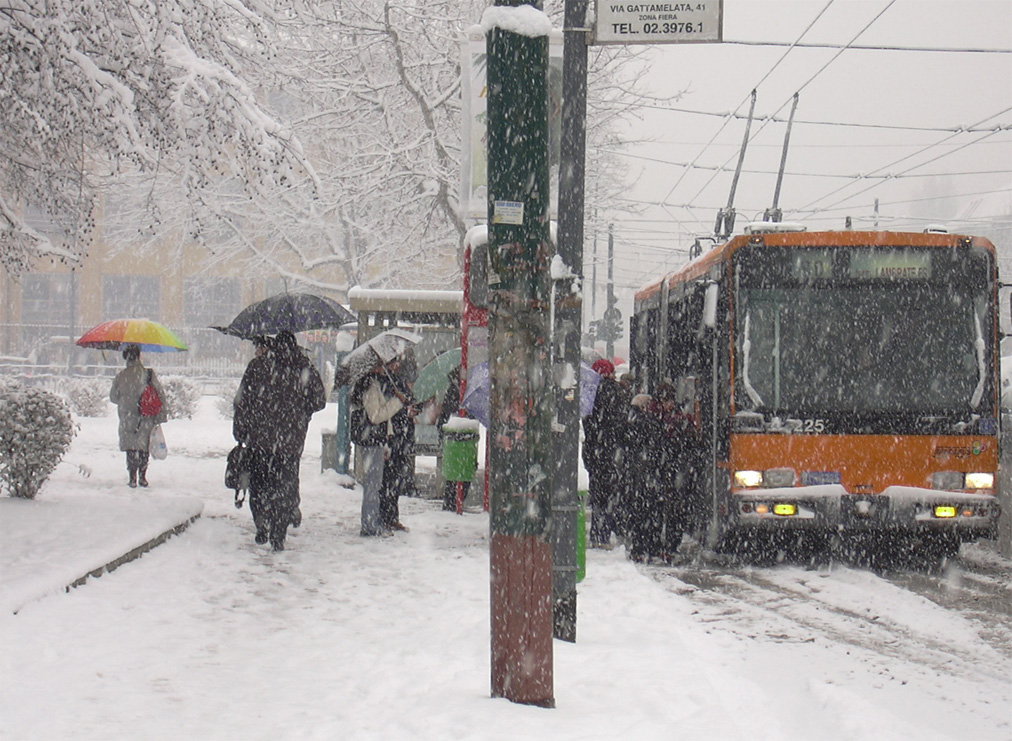Colori d'Inverno