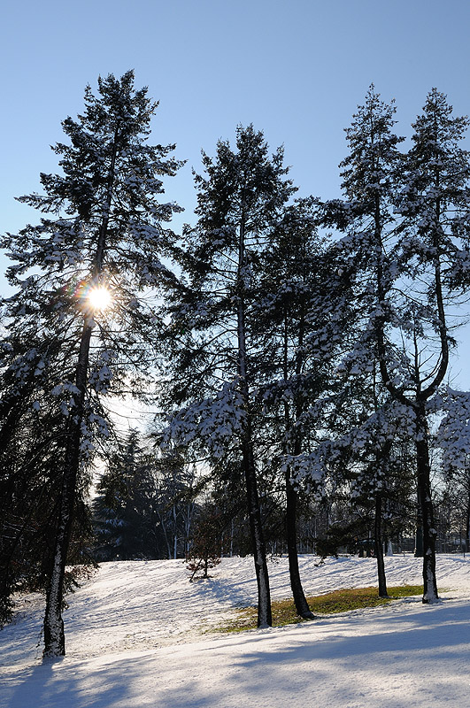 La neve in citt