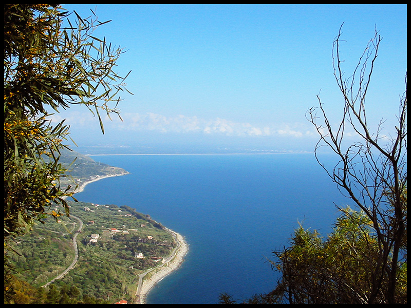 Panorama