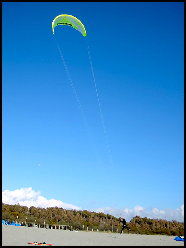 Kite