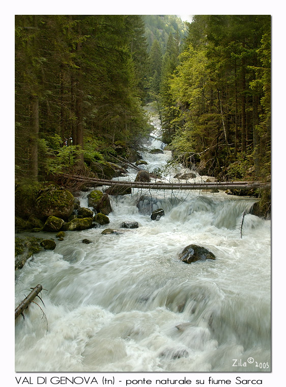 ponte naturale sul Sarca