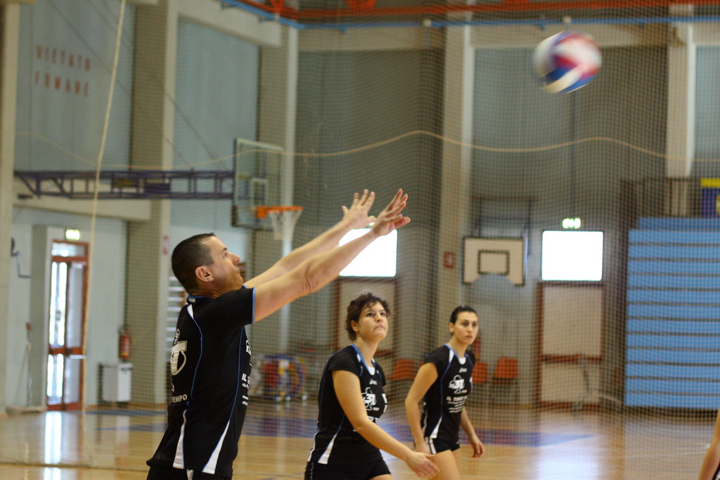 Pallavolo