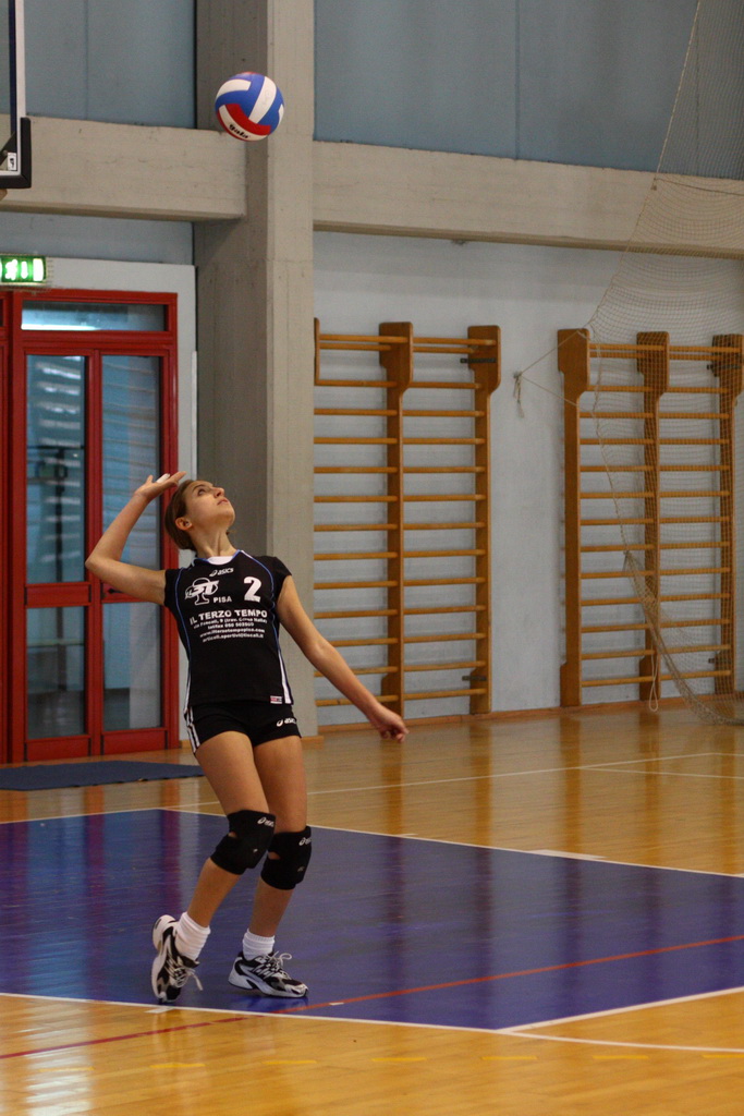 Pallavolo