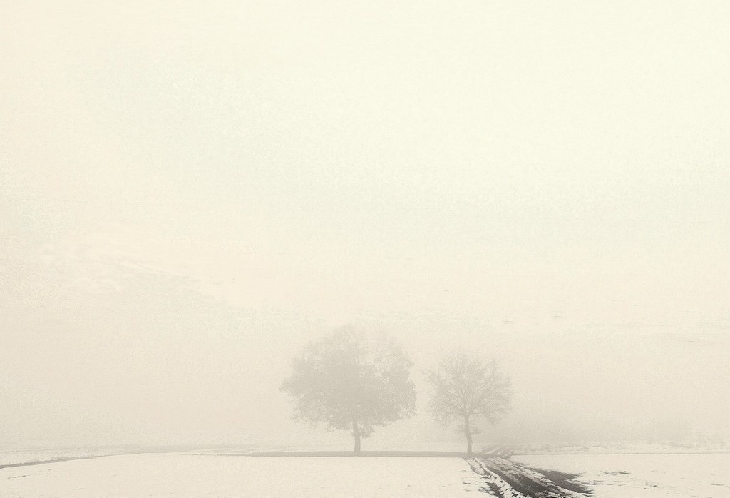 foggy day