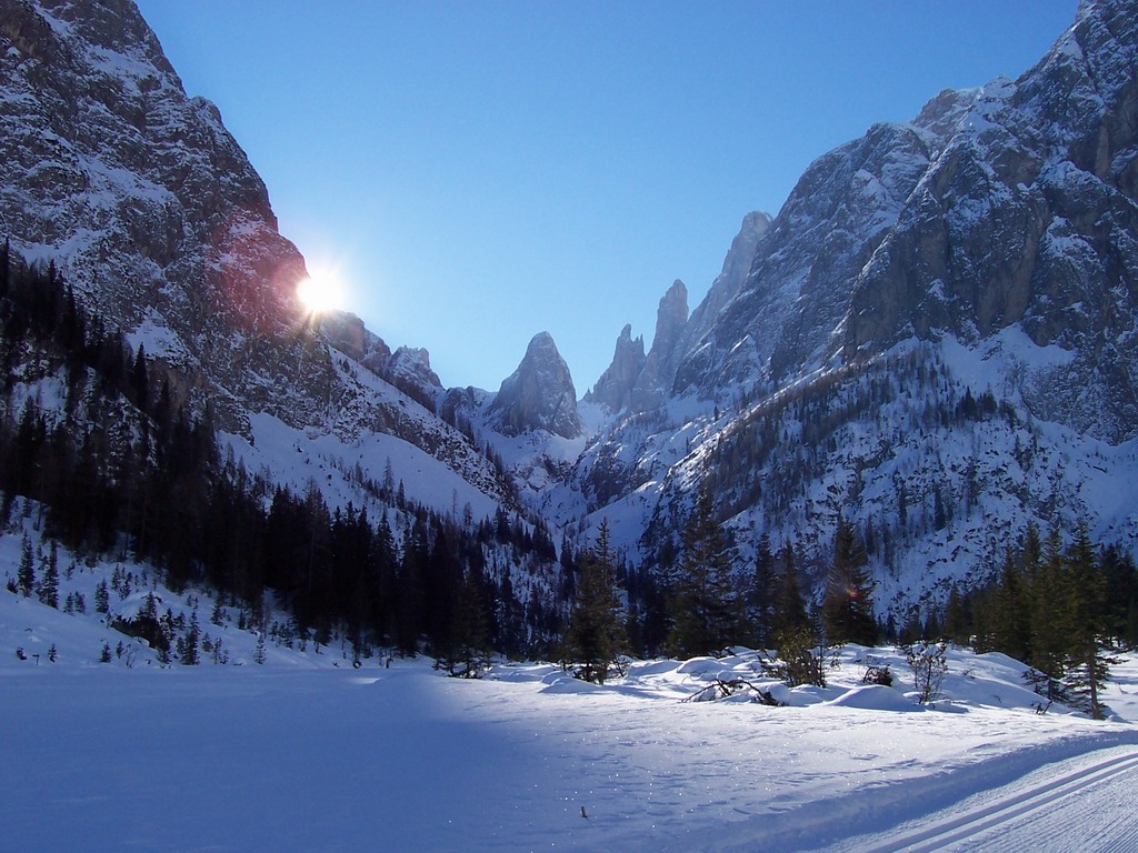 Alba
