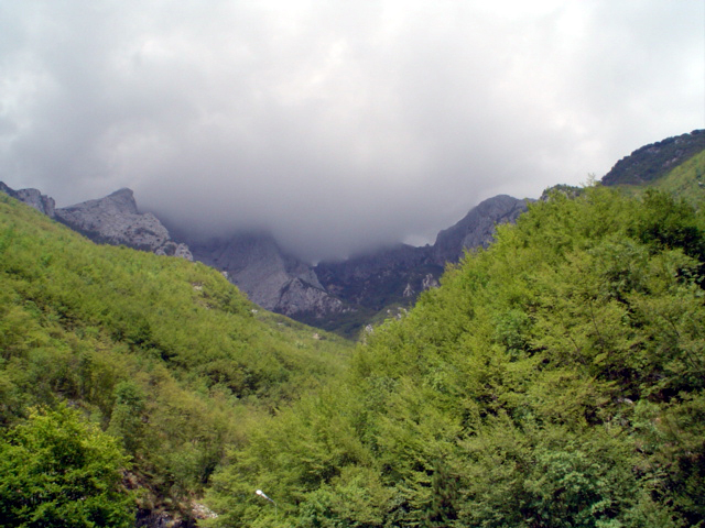 Montagne con nebbia