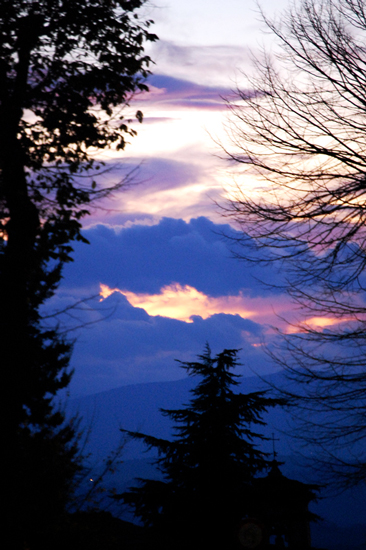 fra gli alberi