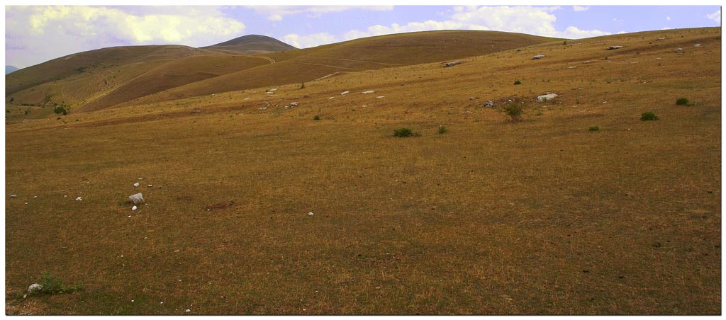 Landscape 2