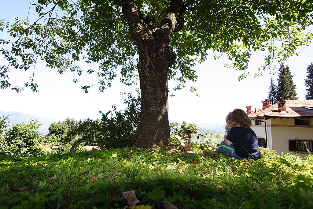 Sotto l'albero