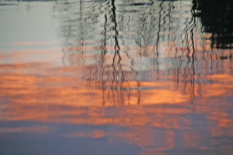 Riflesso