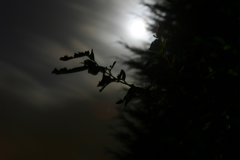 ...di notte....