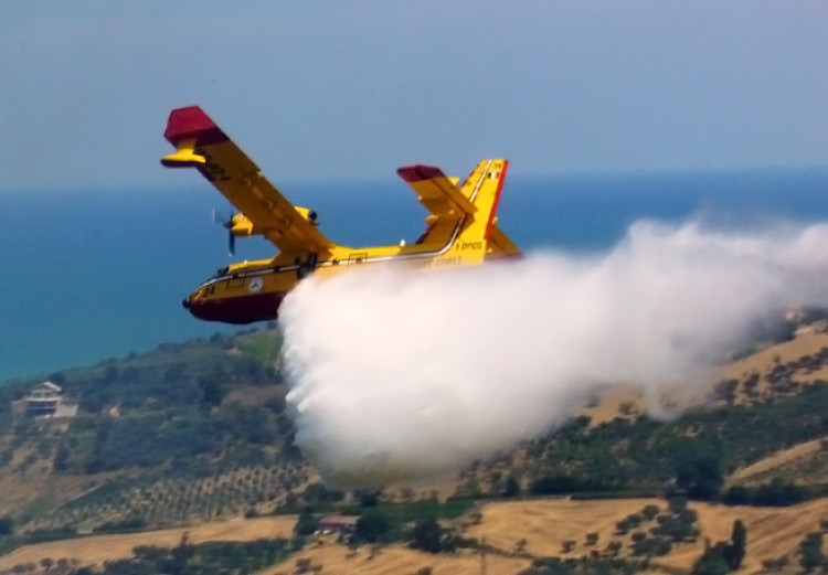 Canadair  - 1