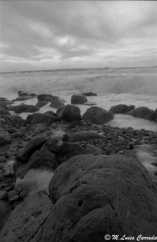 porto Pineto/1
