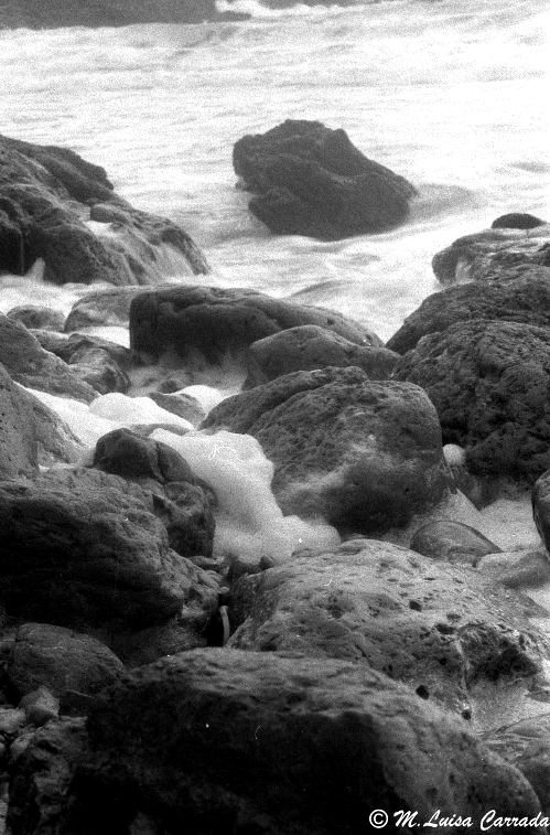 porto Pineto/4