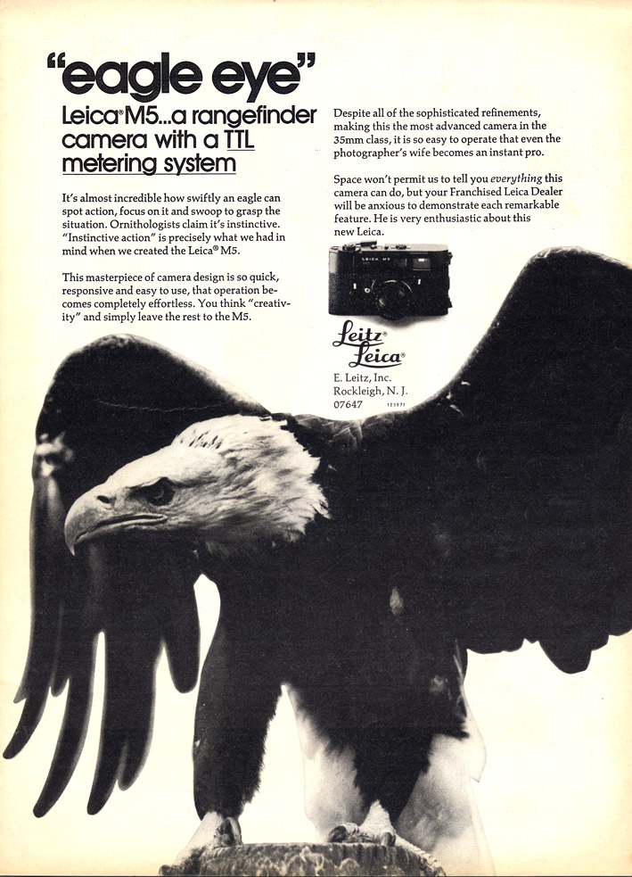 eagle eye