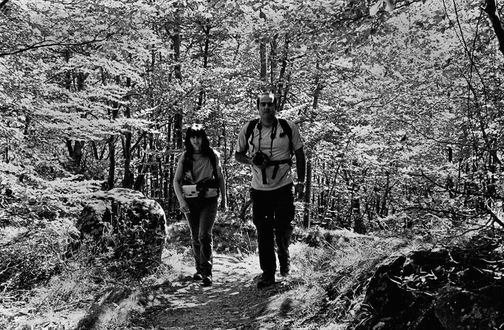 nel bosco di Forno