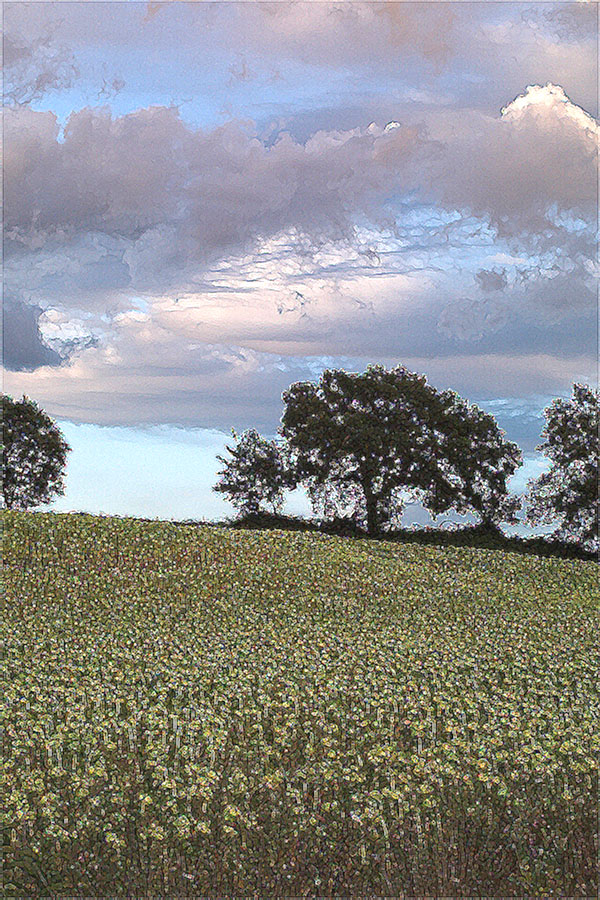 collinagirasoli