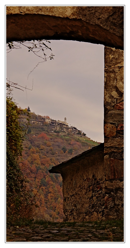 roncaiola