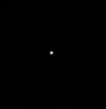 Crop venere