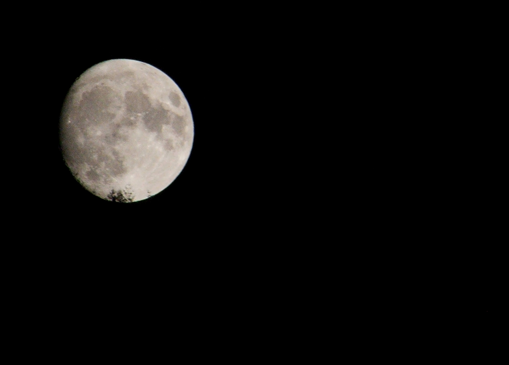 Alba Lunare