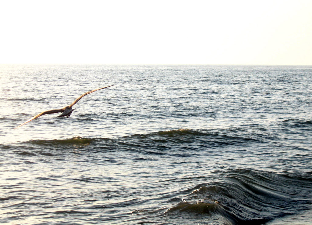 Sul Mare