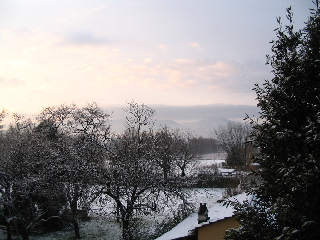 Neve