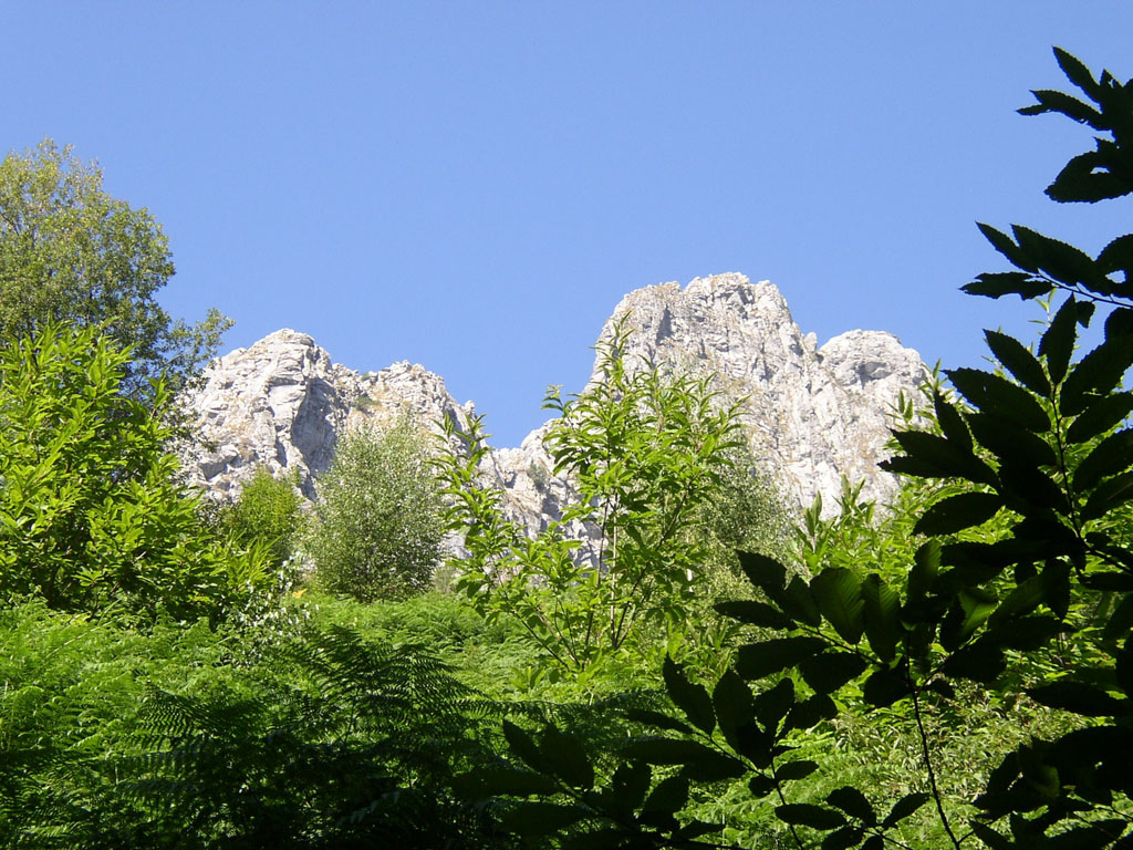 Tambura