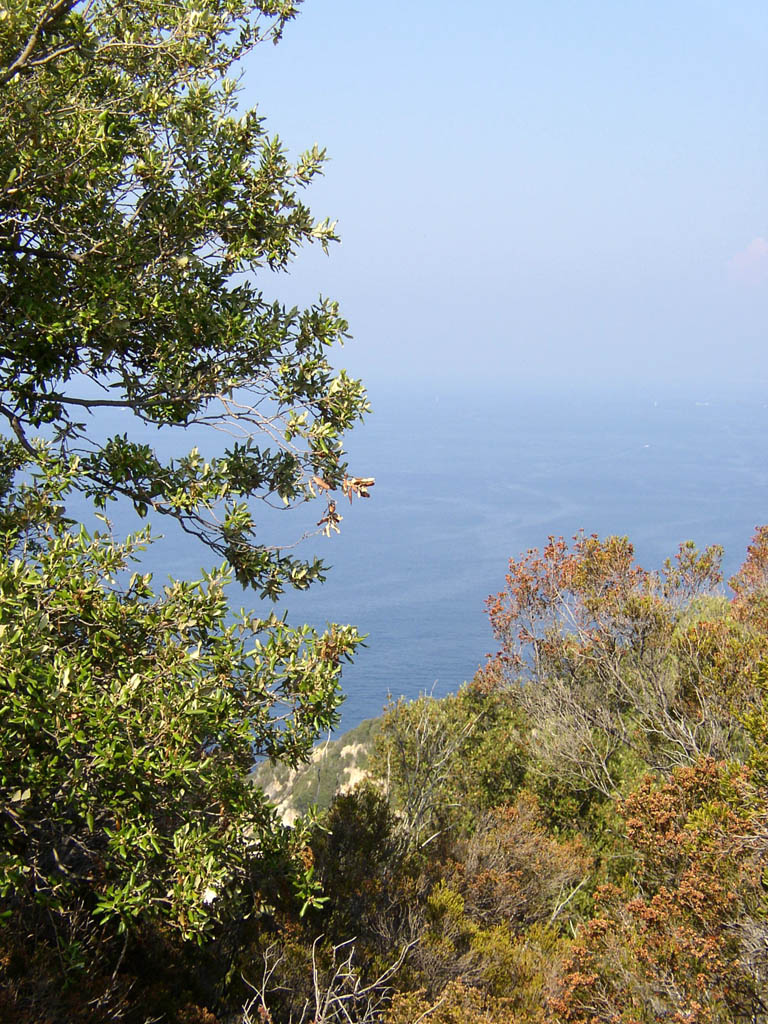 Elba