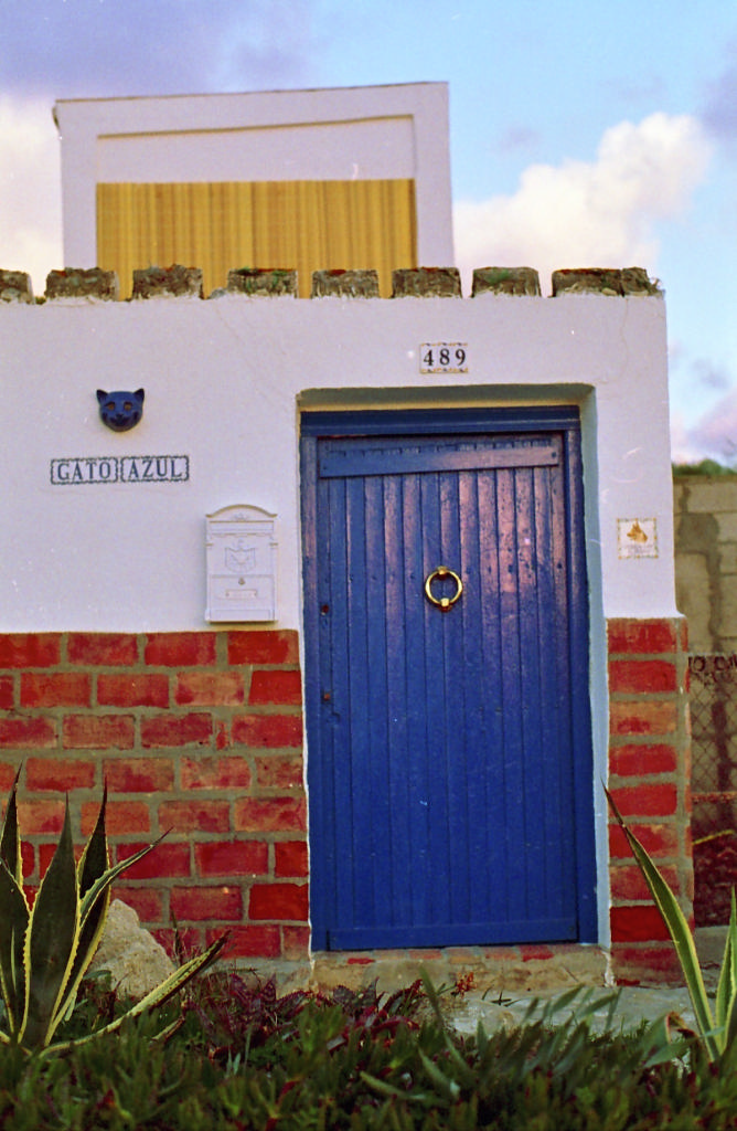Gato Azul