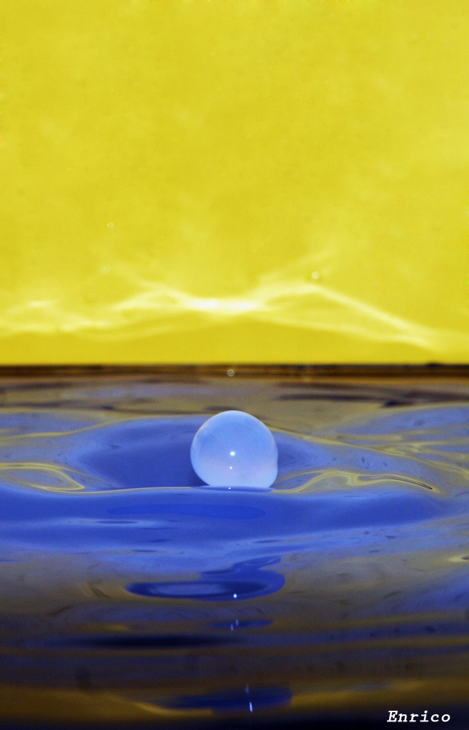 Cosa spunta dall'acqua???
