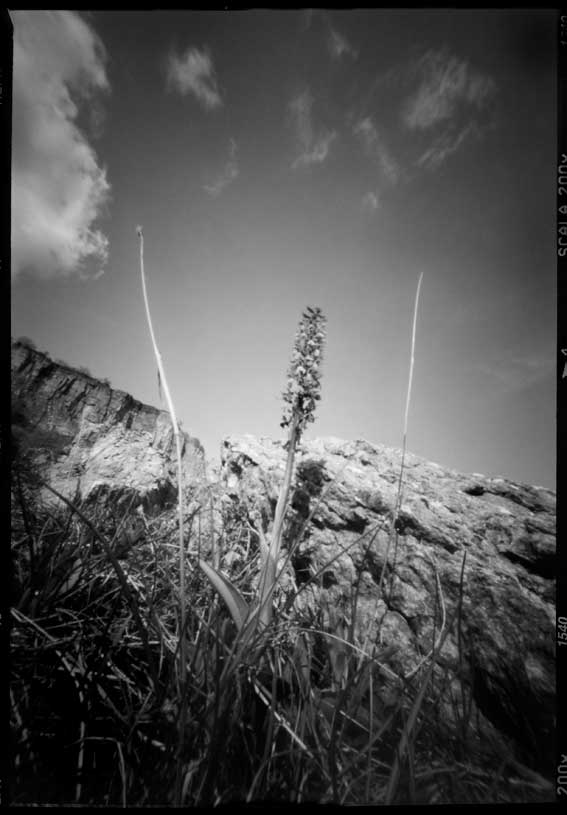 pinhole 25 mm 6x9