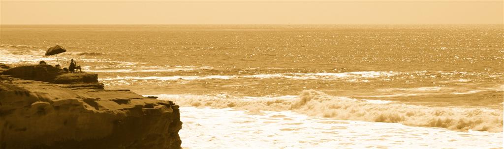 Lifeguard