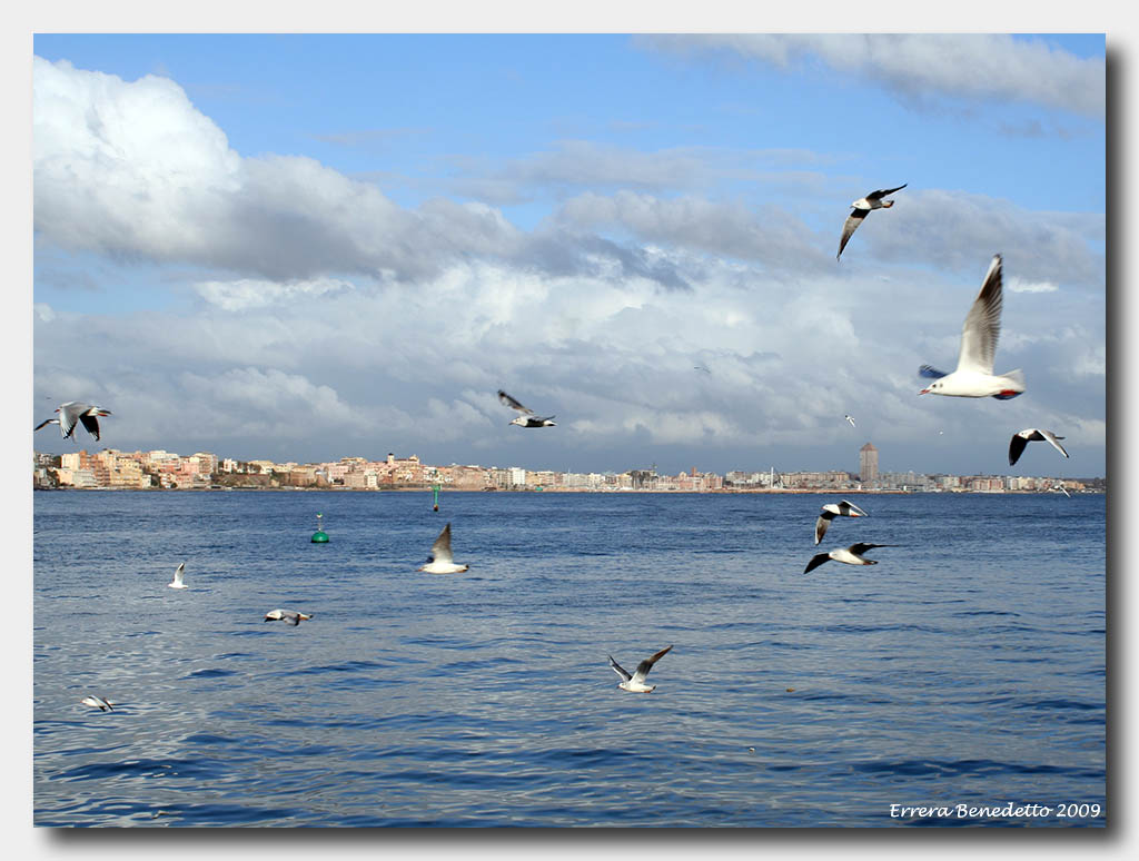 Volo acrobatico..