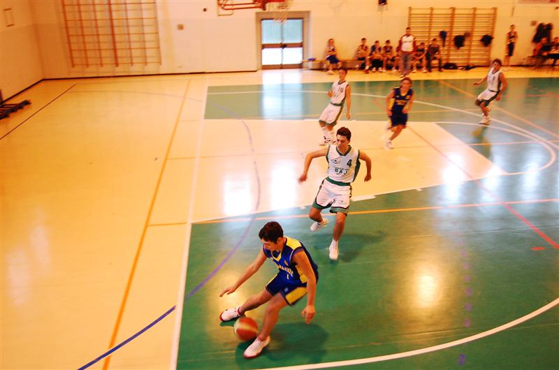 prime prove basket