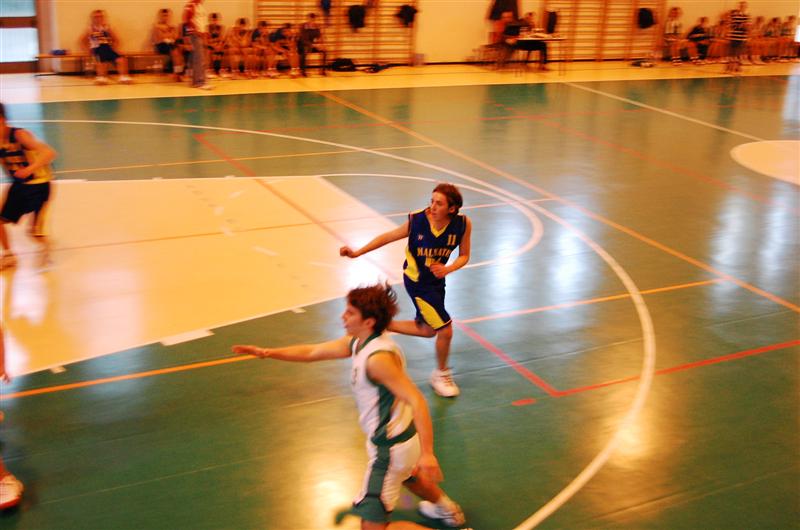 prime prove basket