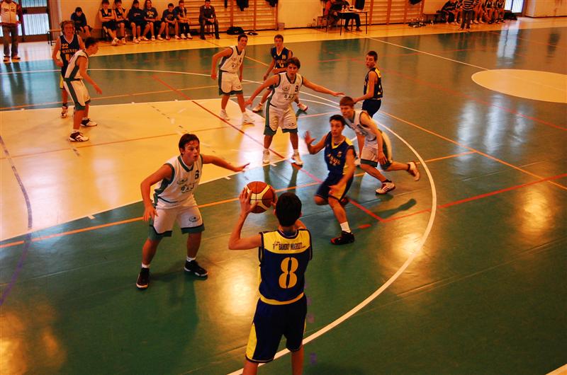 prime prove basket
