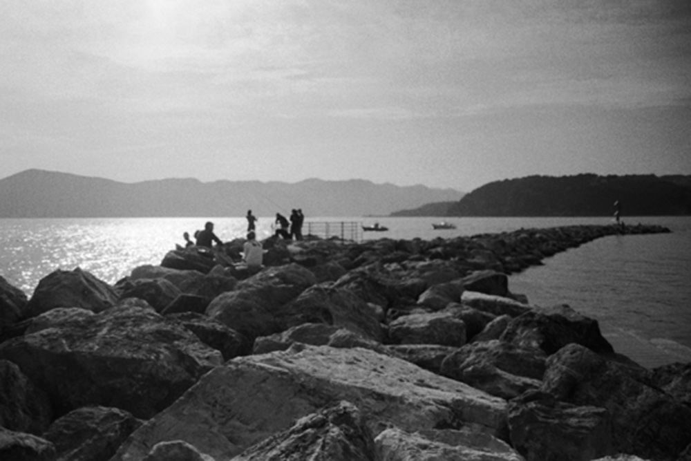 Scogliera