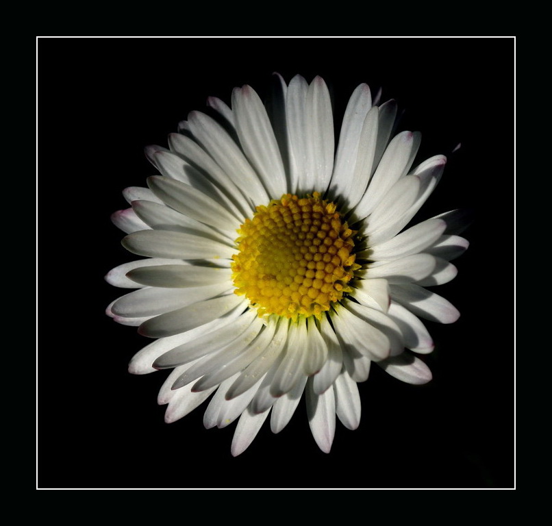 luce(naturale)