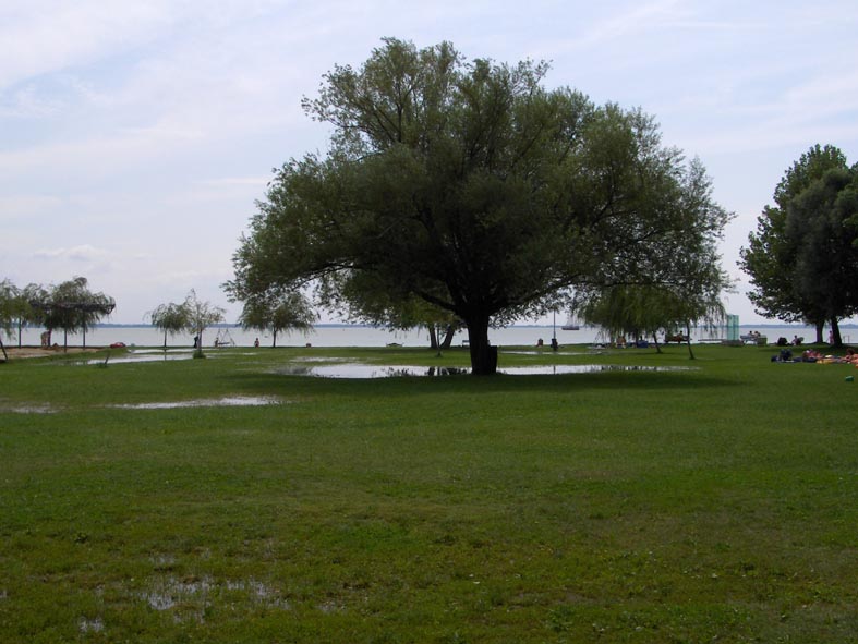 The day after (Lago di Balaton)